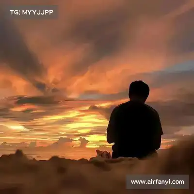 司达蕾